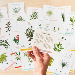 Tarjetas de cuidado de plantas de interior: consejos sobre plantas y consejos para el cuidado de plantas felices de interior. imagen 2