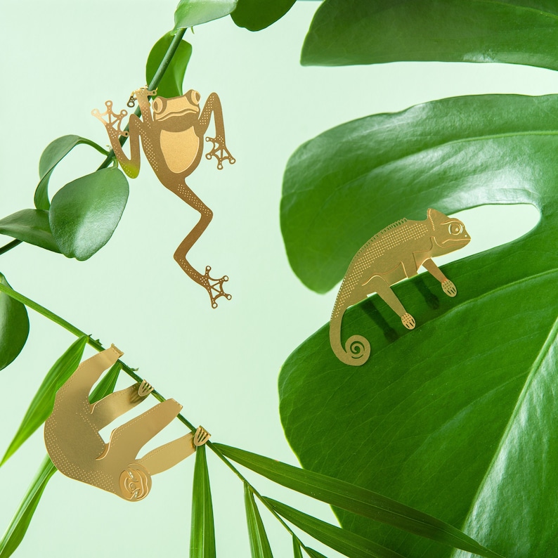 Plant Animal decorations, houseplant gifts! 