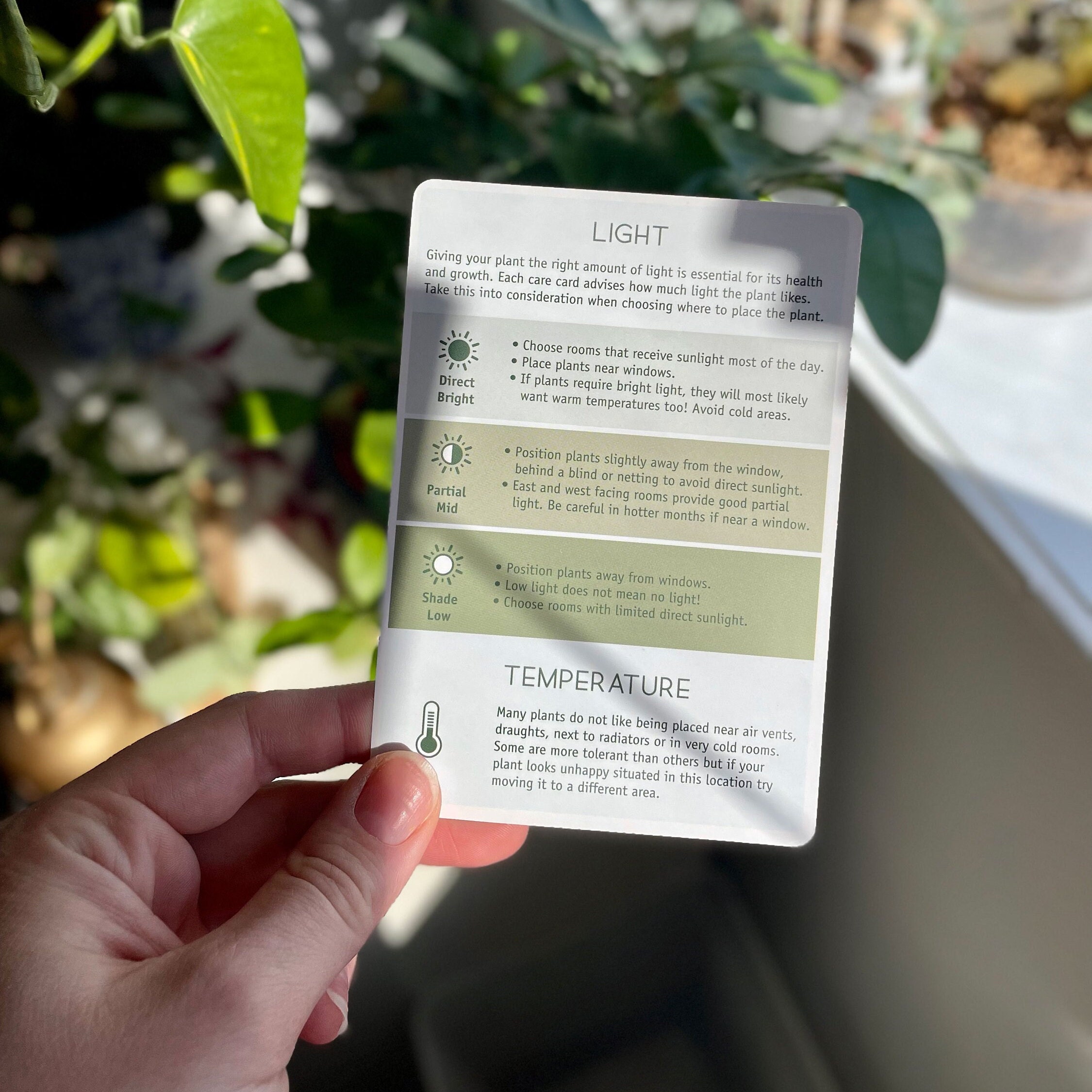 Houseplant Care Cards Advice Tips and Maintenance for Happy - Etsy Hong Kong