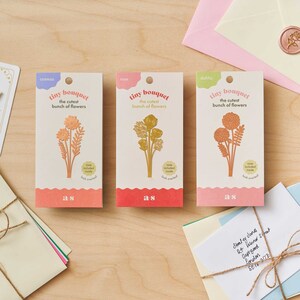 Peut inclure: Trois sachets de graines pour faire pousser des fleurs. Chaque sachet a un motif de fleur diff&eacute;rent&nbsp;: cosmos, rose et dahlia. Les sachets sont rose, rouge et vert avec des lettres dor&eacute;es. Le texte sur les sachets indique&nbsp;&laquo;&nbsp;tiny bouquet, the cutest bunch of flowers&nbsp;&raquo;.