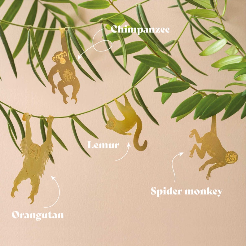 plant hanger decorations by another studio. orangutan, chimp, lemur and spider monkey