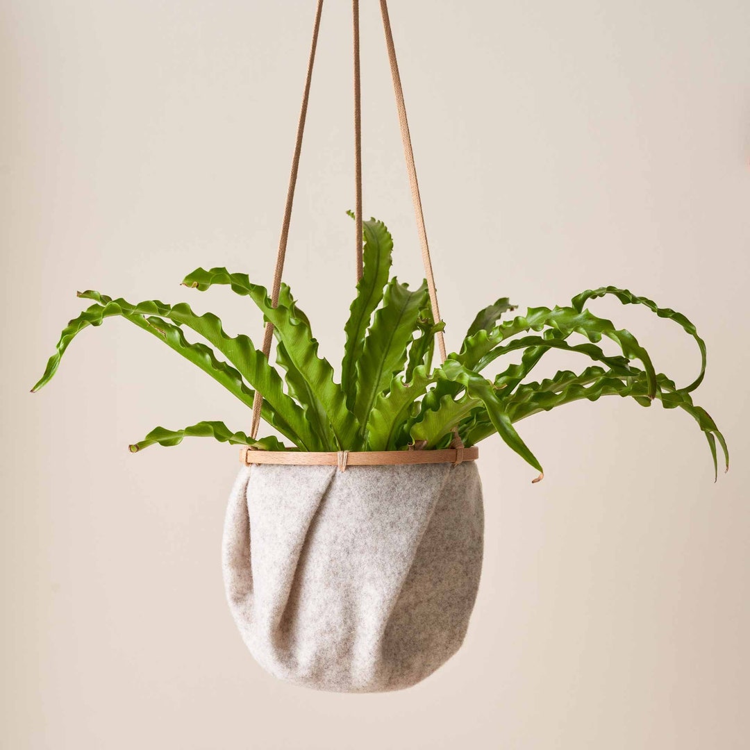 Sew Your Own Hanging Plant Pot Kit felt Included Etsy