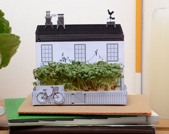 Mini growing kit gift, English village pub or shop