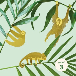 Animales de plantas: Camaleón, Perezoso, Orangután - Decoración de interiores (Juego de 3)