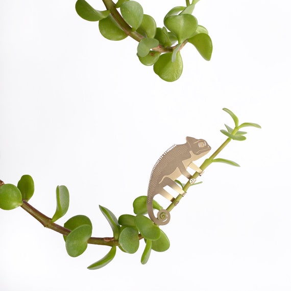 Plant Animal Decorations House Plant Gifts Etsy