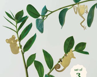 Set di 3 piante animali australiane - decorazione vegetale Koala, Galagone e Rana