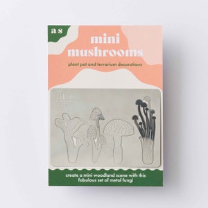 Mini Mushrooms plant decorations cute terrarium & plant pot Silver or Brass image 9