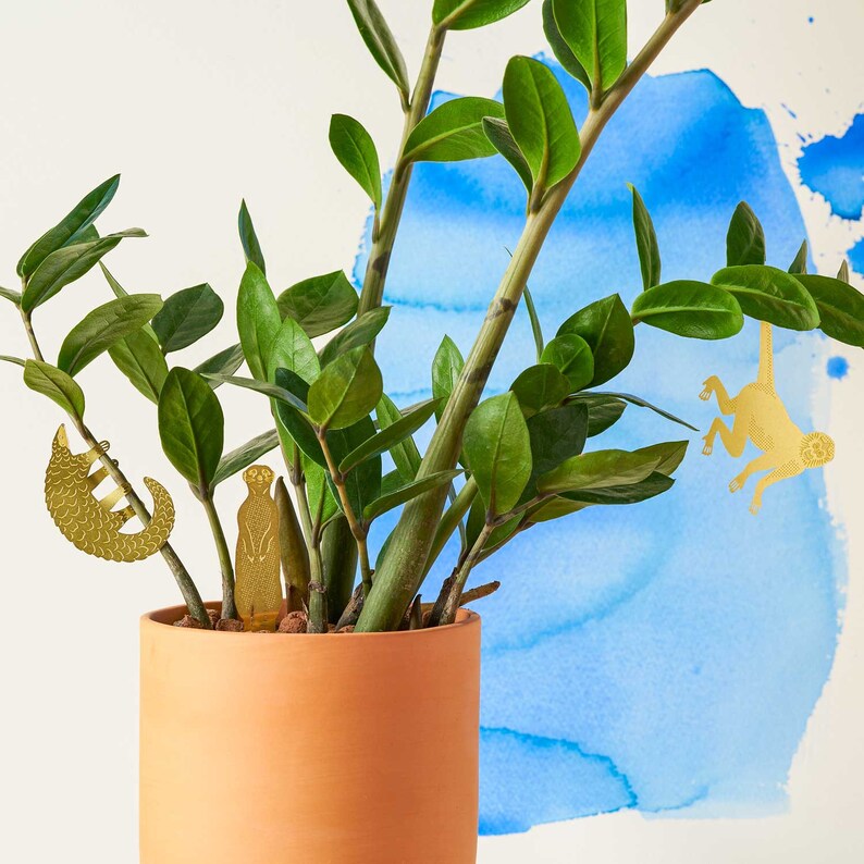 Plant Animal Decorations house plant gifts image 6