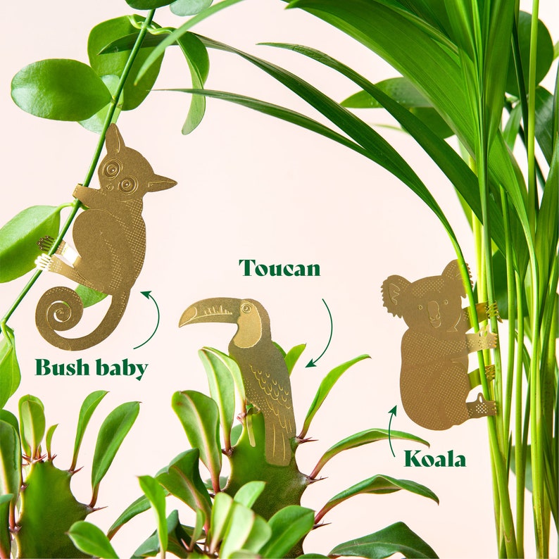 plant animal decorations by another studio. Toucan, koala and bush baby