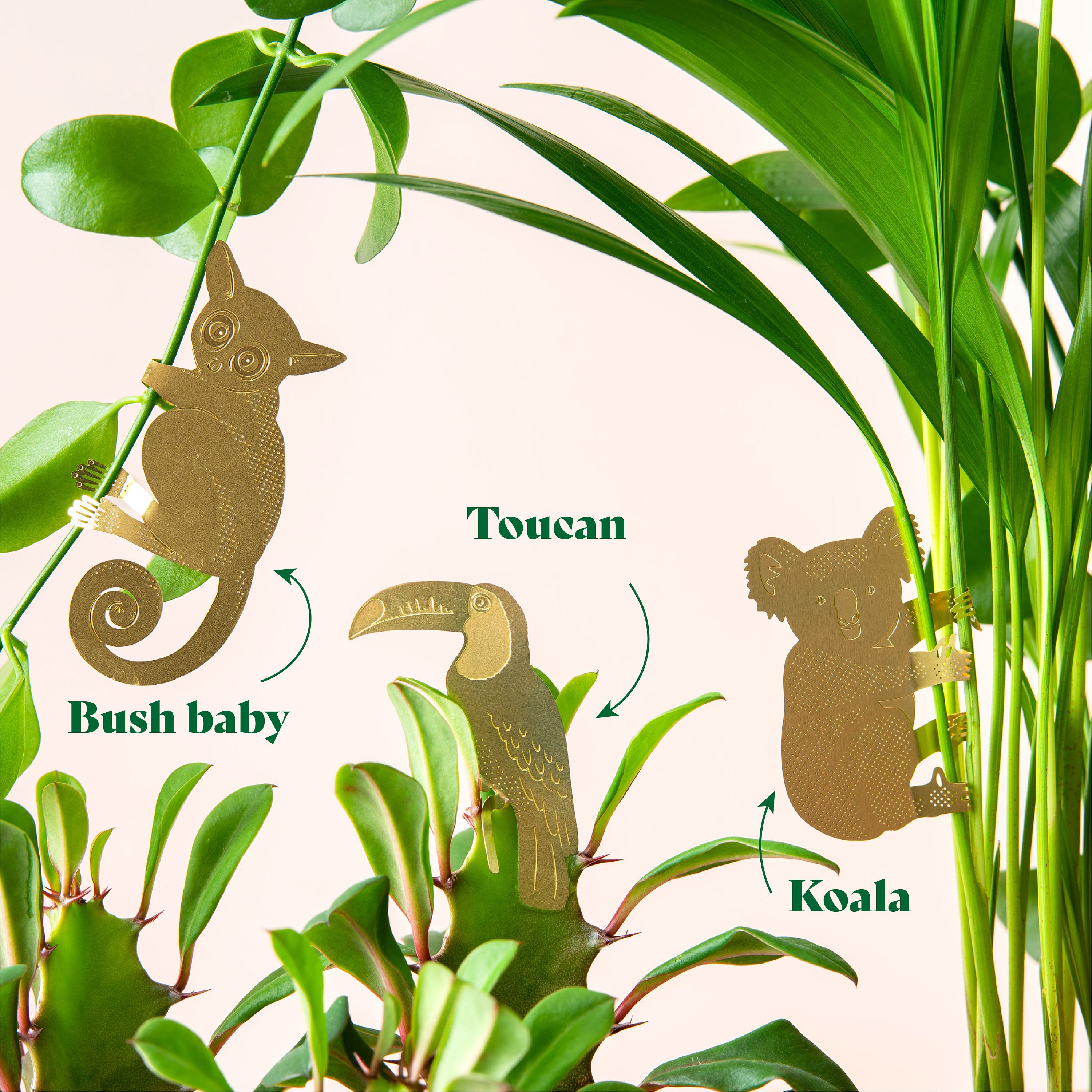 Plant Animal Decorations Houseplant Gifts - Etsy Plant Animal Decorations Houseplant Gifts - Etsy