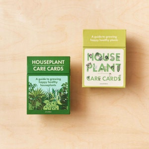 Houseplant Care Cards plant advice and care tips for indoor happy plants image 4