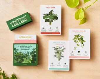 Houseplant Care Cards - plant advice and care tips for indoor happy plants! Houseplant gardener gift