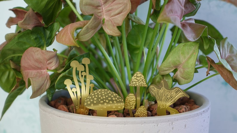 Mini Mushrooms plant decorations cute terrarium & plant pot Silver or Brass image 5