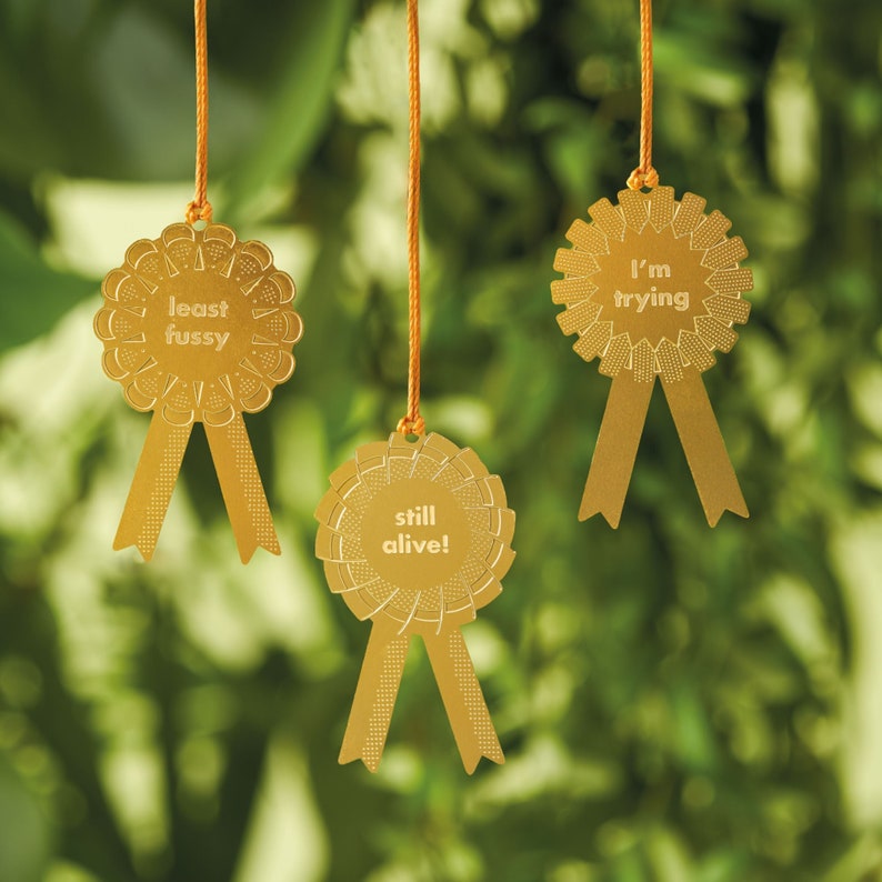 Houseplant Awards to celebrate your plant's progress, problems and personality traits image 1