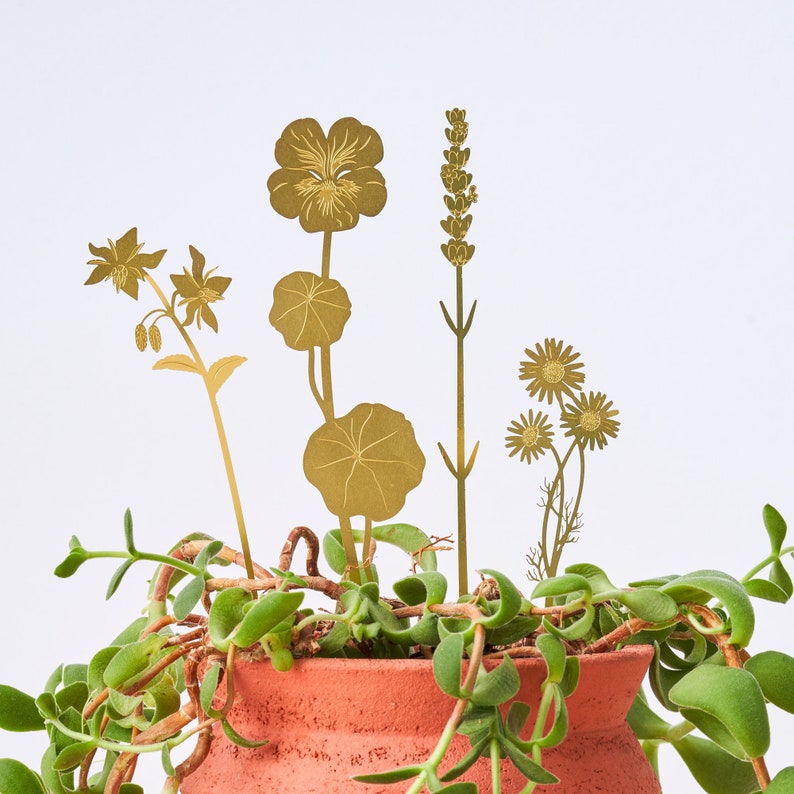Herb flower plant pot decorations, cute brass ornaments for your plants image 1