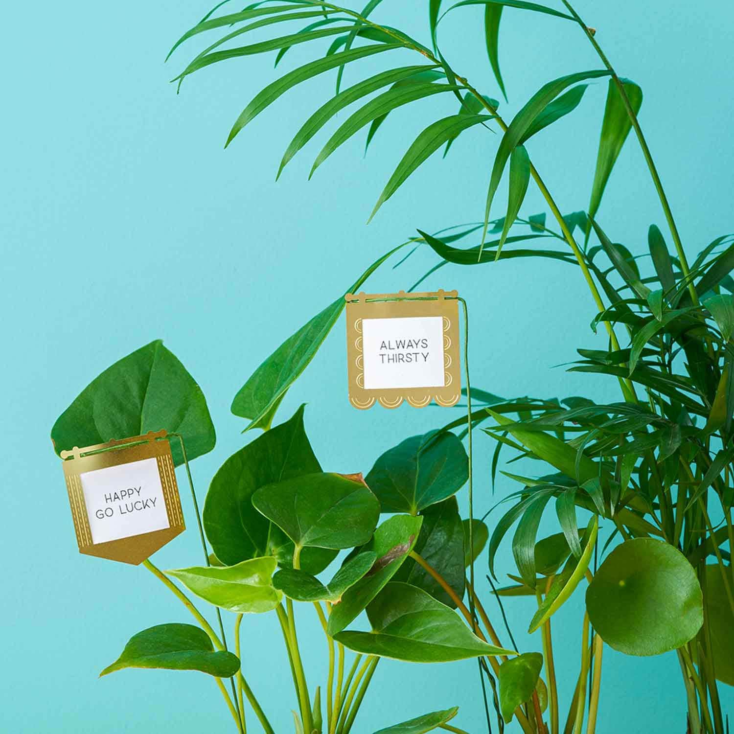 Plant Flags for your potted plants Etsy