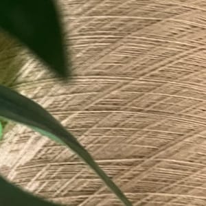 100% merino extrafine Zegna Baruffa (Lane Borgosesia) yarn on Cone, hand and machine knitting, Italian bobbin yarn, Camel color Cashwool.