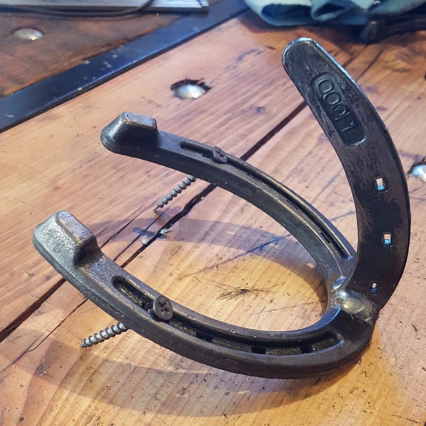 Horseshoe Hook