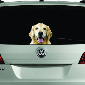 Golden Retriever sticker (Custom Optional),-Multiple Sizes- realistic golden retriever sticker, golden retriever car decal,