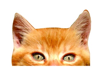 orange tabby cat eyes car decal -Multiple Sizes-tabby cat, cat sticker, cat decal, cute cat, fun cat sticker, cat car decal