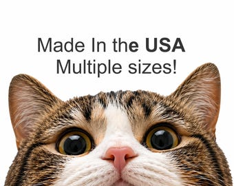 Peeking Tabby Cat Vinyl Decal – Funny Car Window Sticker for Laptop Water Bottle Tumbler