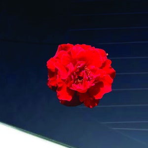 Rose Decal, Realistic red rose sticker, Spring decal -Multiple Sizes-Outdoor Vinyl - Car Decal