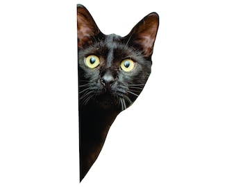 Black cat sticker, black cat, black cat decal, cat sticker, cat decal, cute cat crazy cat lady, fun cat sticker, cat car decal, black cat