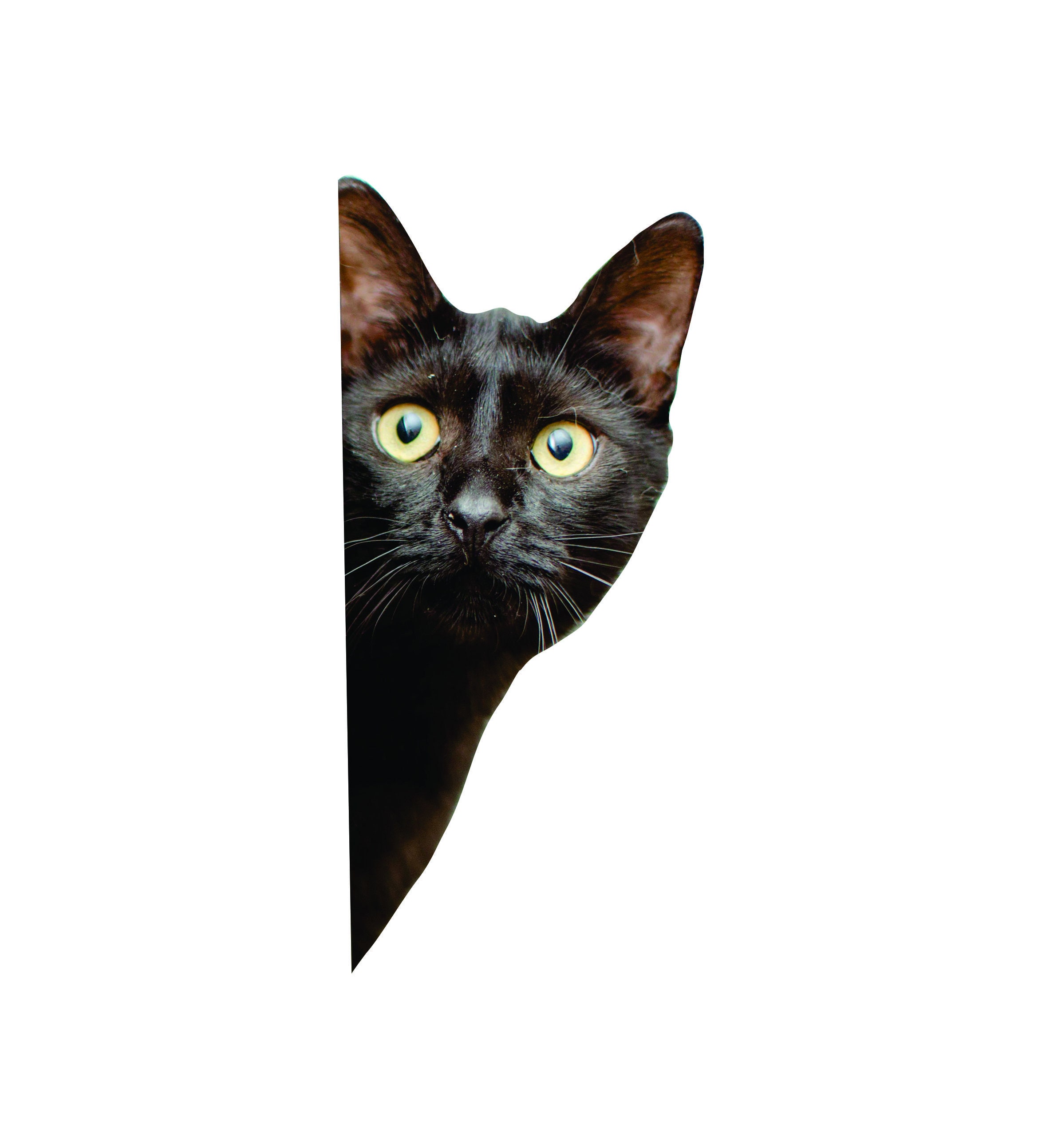 Black Cat Sticker Black Cat Black Cat Decal Cat Sticker Etsy