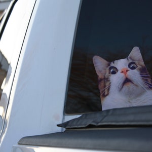 Scaredy cat sticker, Cat sticker, cat, kitty, cat gift, kitty gift, scaredy cat, funny cat , funny cat decal, cat decal image 2