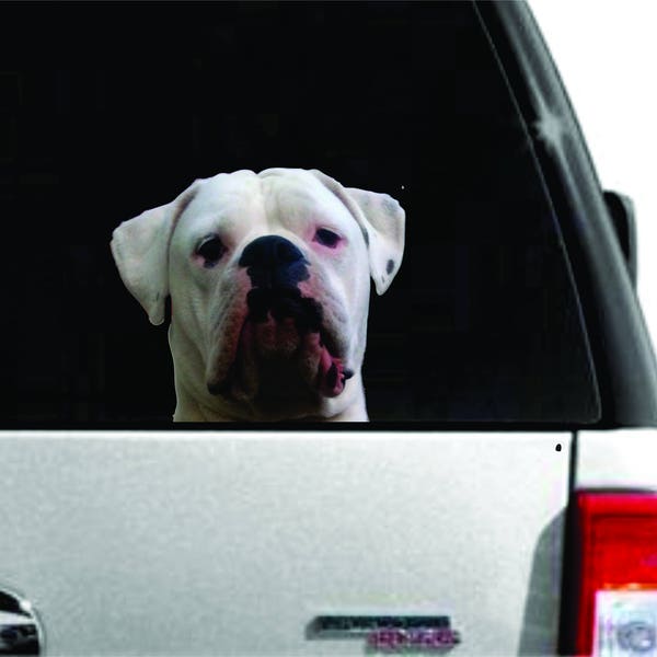 Funny white boxer -Multiple Sizes- sticker , White Boxer decal , Boxer Sticker, Boxer car decal