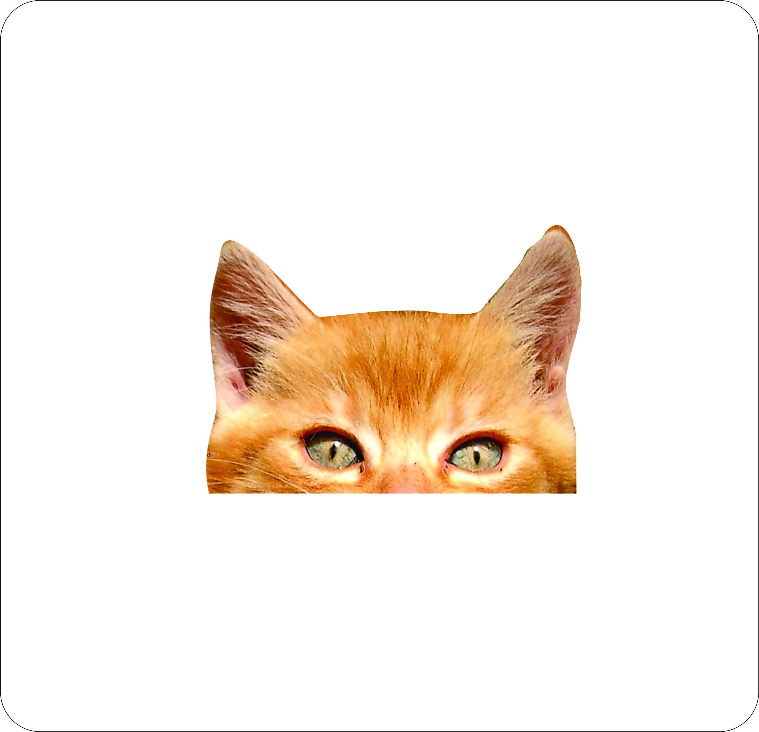 Cool magic funny Cat lustige Katze Cats Katzenaugen Polygon - Cat Love -  Sticker