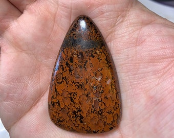 Dinosaur Bone Cabochon Natural High Grade 70.5 Carats