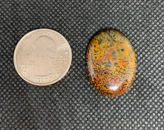 Dinosaur Bone Cabochon Natural High Grade 25.5 Carats