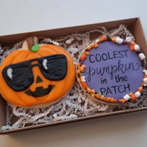 May include: Two decorated sugar cookies in a brown box with white shredded paper. One cookie is orange and shaped like a pumpkin with black sunglasses. The other cookie is purple with white and orange sprinkles and the text "COOLEST pumpkin in the PATCH".