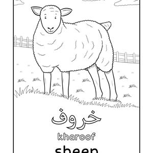 Arabic Farm Animals Coloring Book Arabic learning Arabic Coloring Arabic education Colouring Book Islamic Book Islamic colouring image 3