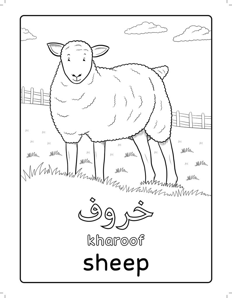 Arabic Farm Animals Coloring Book Arabic learning Arabic Coloring Arabic education Colouring Book Islamic Book Islamic colouring image 3