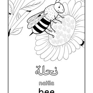 Arabic Farm Animals Coloring Book Arabic learning Arabic Coloring Arabic education Colouring Book Islamic Book Islamic colouring image 5