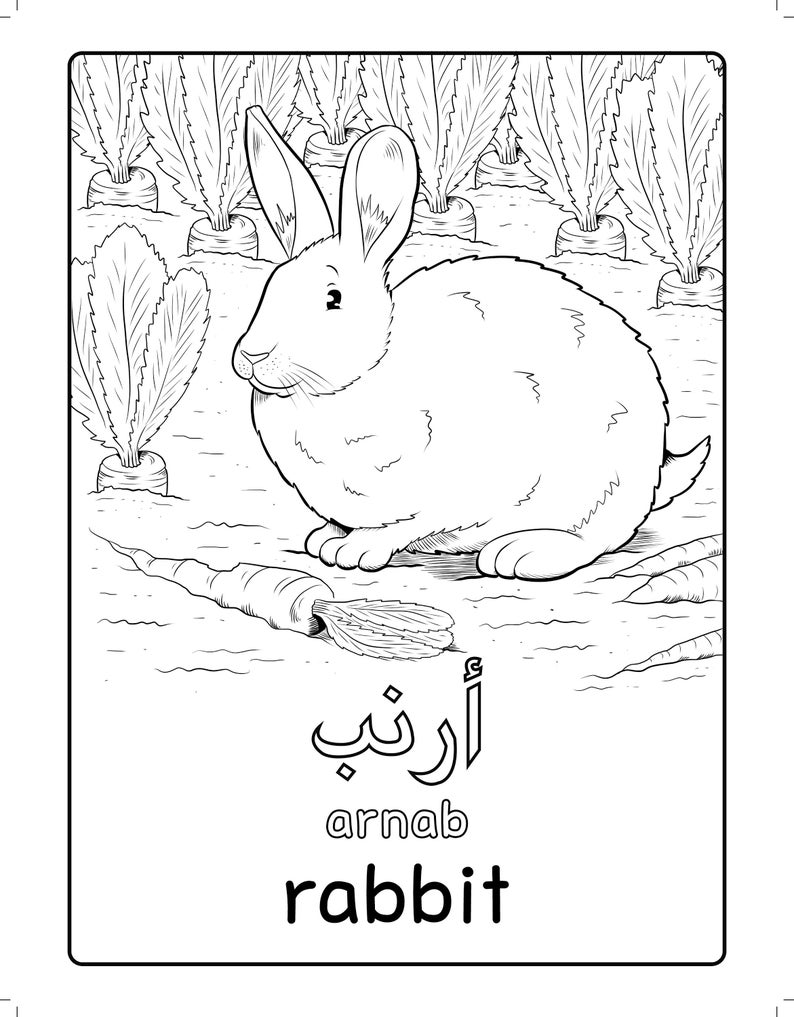 Arabic Farm Animals Coloring Book Arabic learning Arabic Coloring Arabic education Colouring Book Islamic Book Islamic colouring image 7