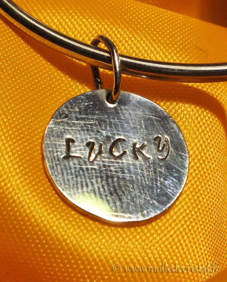 Médaille Argent Massif Pour Collier Chien Chat Personnalisée