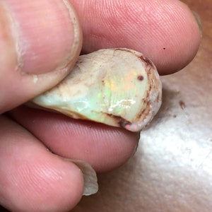 Puede incluir: Un pequeño ópalo blanco iridiscente con un exterior marrón y rugoso. El ópalo está siendo sostenido en una mano.