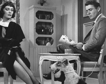 The Thin Man (1957-1959 TV series)(67 episodes on 16 discs)