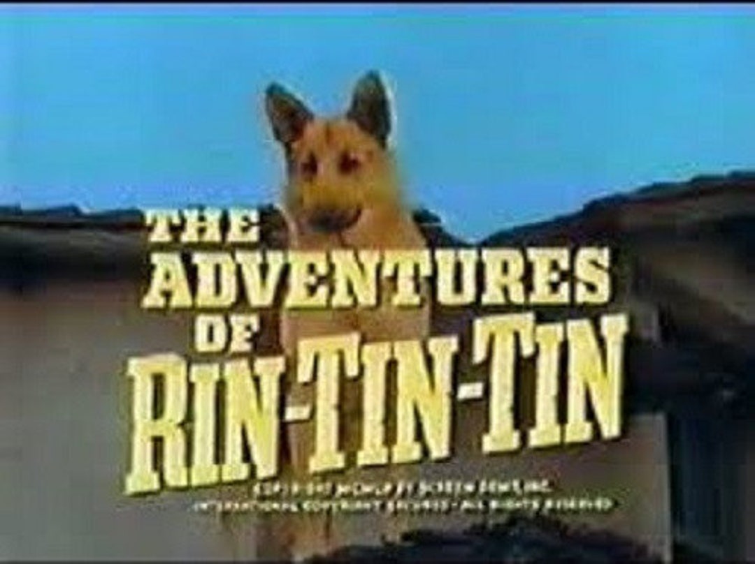 The Adventures of Rin Tin Tin 19541959 TV Series7 Disc Set, 130