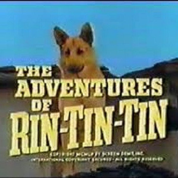 The Adventures of Rin Tin Tin (1954-1959 TV series)(7 disc set, 130 episodes) DVD-R