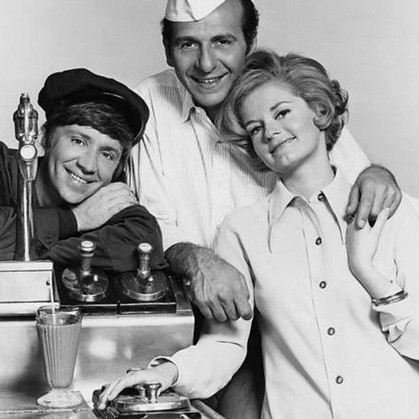 Bachelor Father Tv Series Dvd Etsy