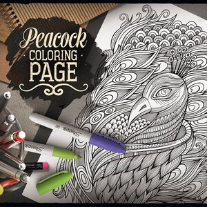 PEACOCK COLORING PAGE - Adult Coloring - Printable Coloring book - Coloring sheet - Hand Drawn Peacock - Doodles - Digital Download