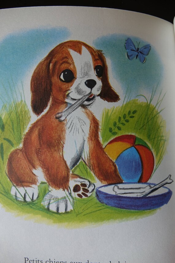 Child Album Ploum Made Sport Small Dog Vintage 1967 Book