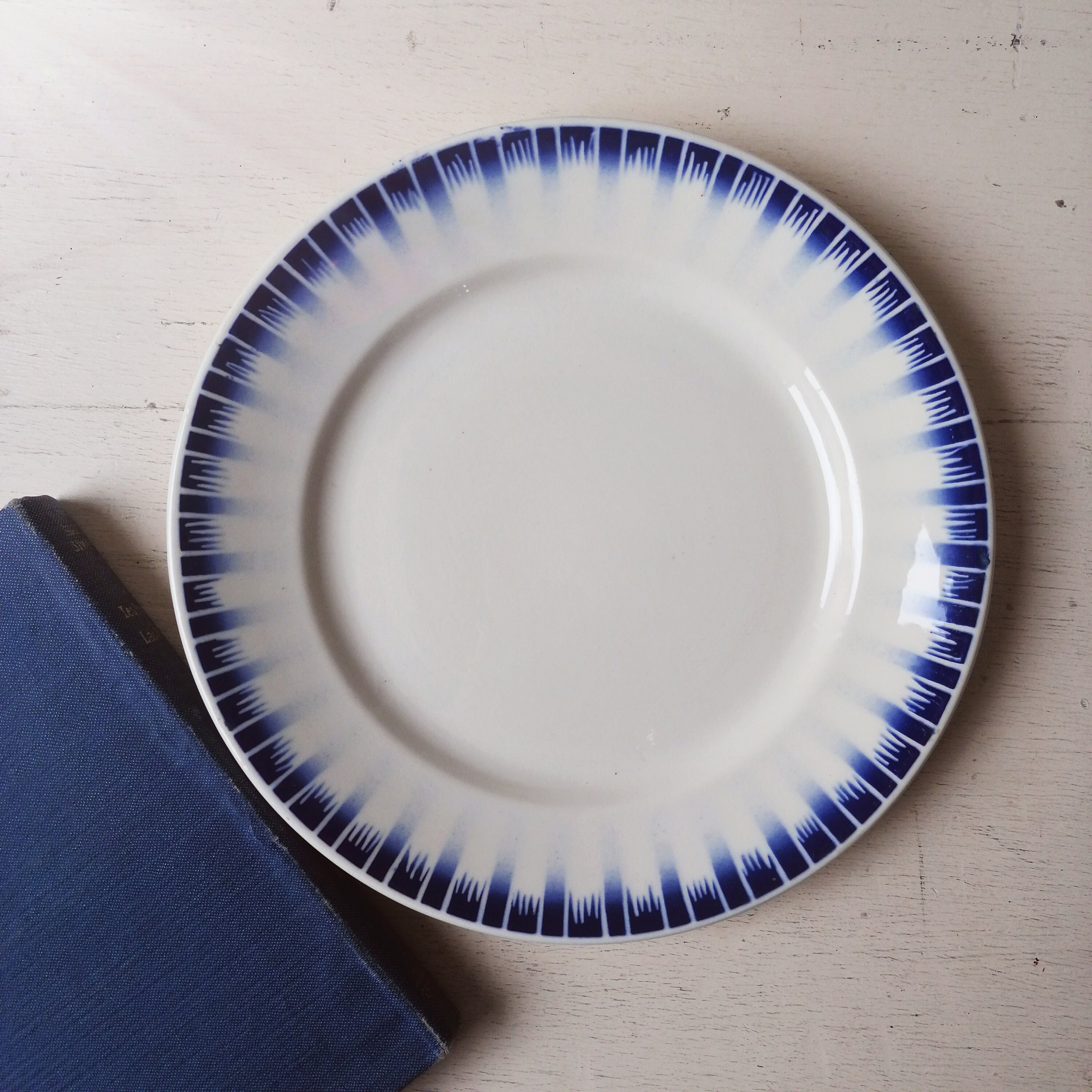 Lot de 6 assiettes vintage roses bleue porcelaine de limoges - Arts de la table