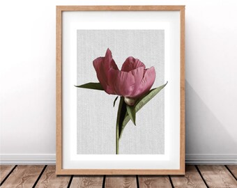 Peony Botanical Print,Nature Decor,Modern Minimal,Contemporary Design,Printable Art,Instant Download,Art Print