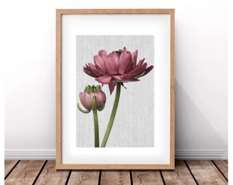 Peony Botanical Print,Nature Decor,Modern Minimal,Contemporary Design,Printable Art,Instant Download,Art Print