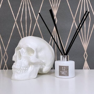 White Skull // Skull Decor // Handmade by Haus of Skulls